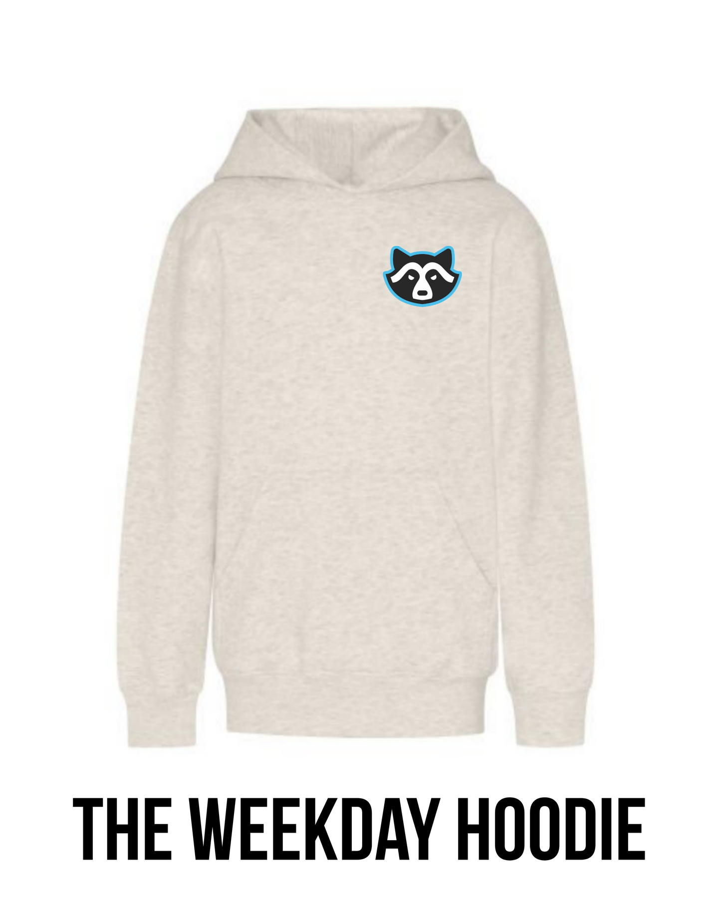 Youth Bandits Back To School Hoodie