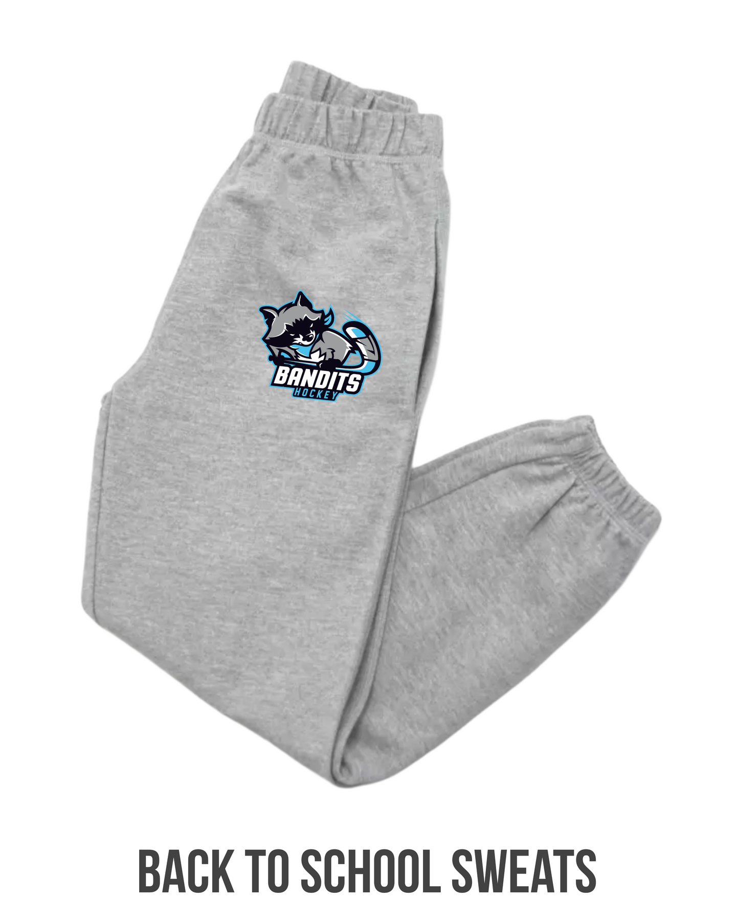 Youth Bandits Back to School Sweat Pants